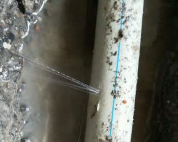 白山市卫生间测漏水多少钱