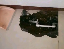 白山市卫生间测漏水多少钱